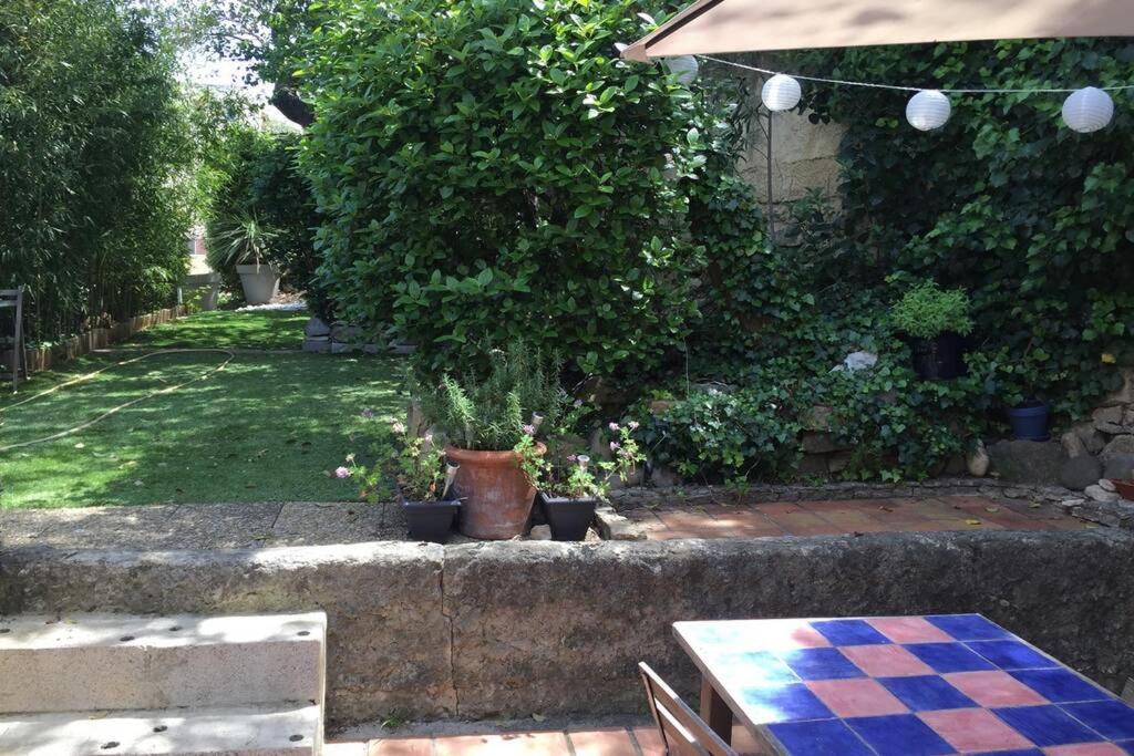 La Cassirene - Maisonnette Centre Cassis - Jardin ภายนอก รูปภาพ